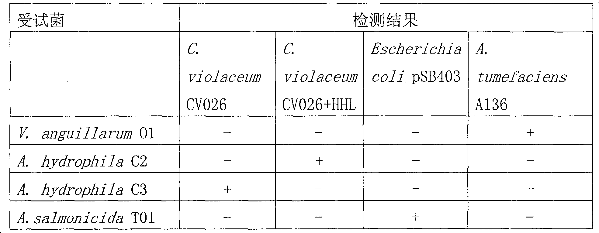 Aquatic pathogenic bacterium colony induction signaling molecule detecting method and special reagent kit thereof