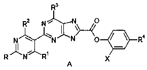 Polysubstituted purine derivatives as well as preparation method and application thereof