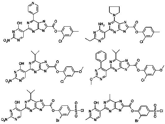 Polysubstituted purine derivatives as well as preparation method and application thereof