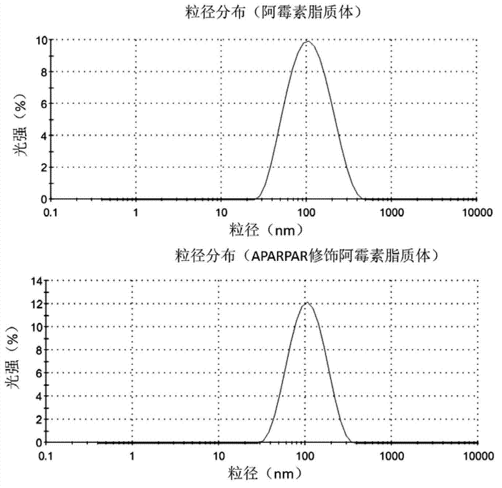 APARPAR polypeptide-modified invisible liposome and drug delivery system