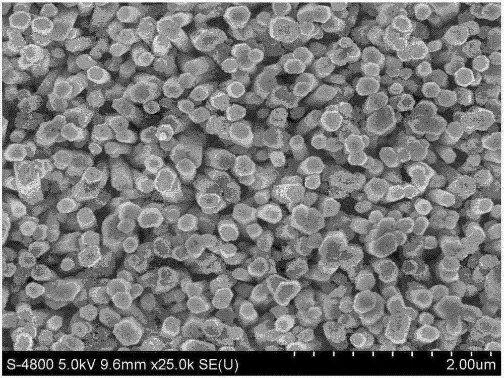 Ultraviolet photoresponse device based on homogeneous ZnO nano core shell array and manufacturing method