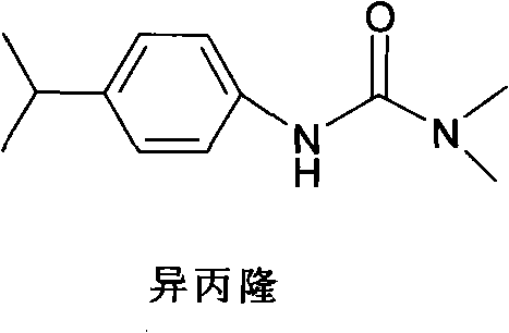 Chemical male sterilant composition of cruciferae crops and application method thereof