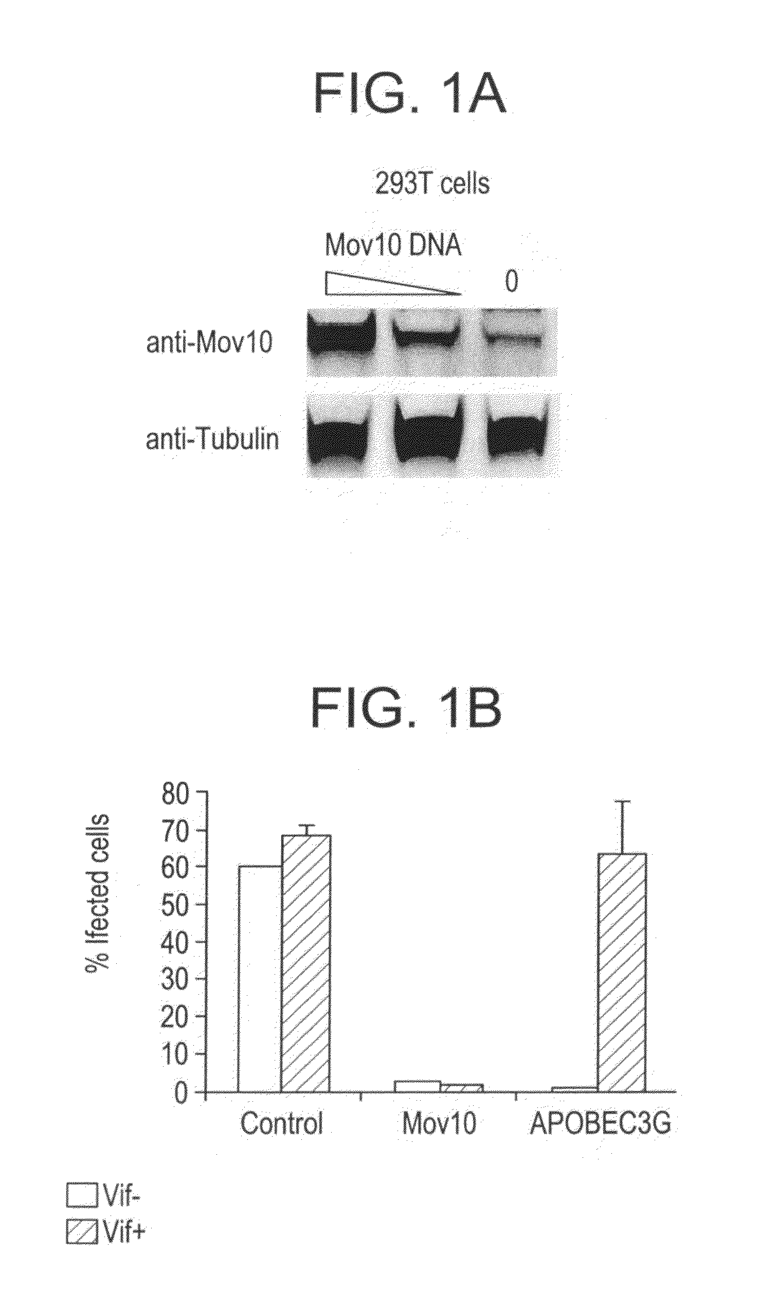 Methods of inhibiting retrovirus replication and infectivity