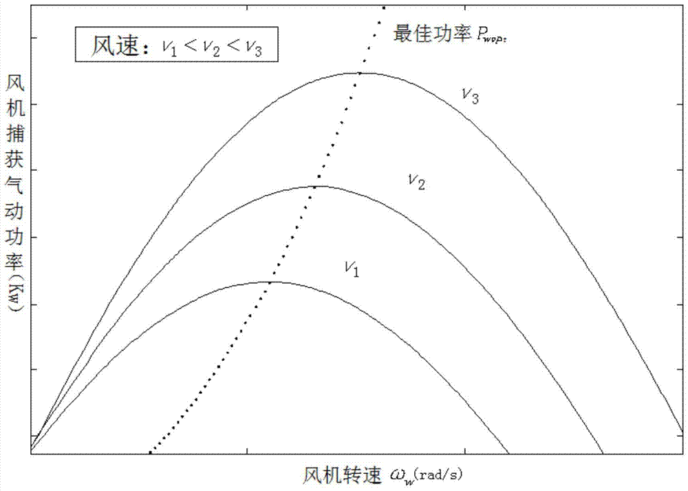 A wind power generation maximum power tracking method without speed sensor