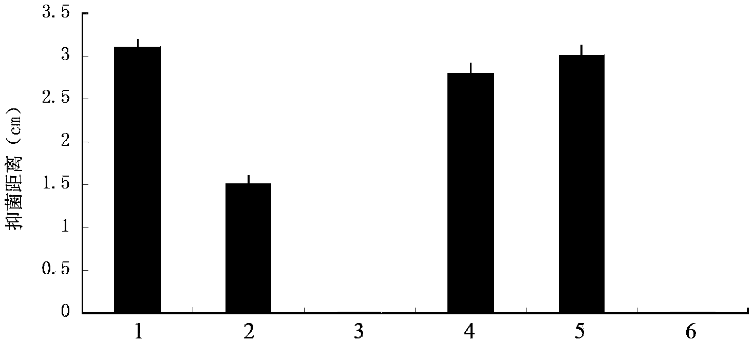 Bacterium for preventing and controlling banana wilt and application thereof