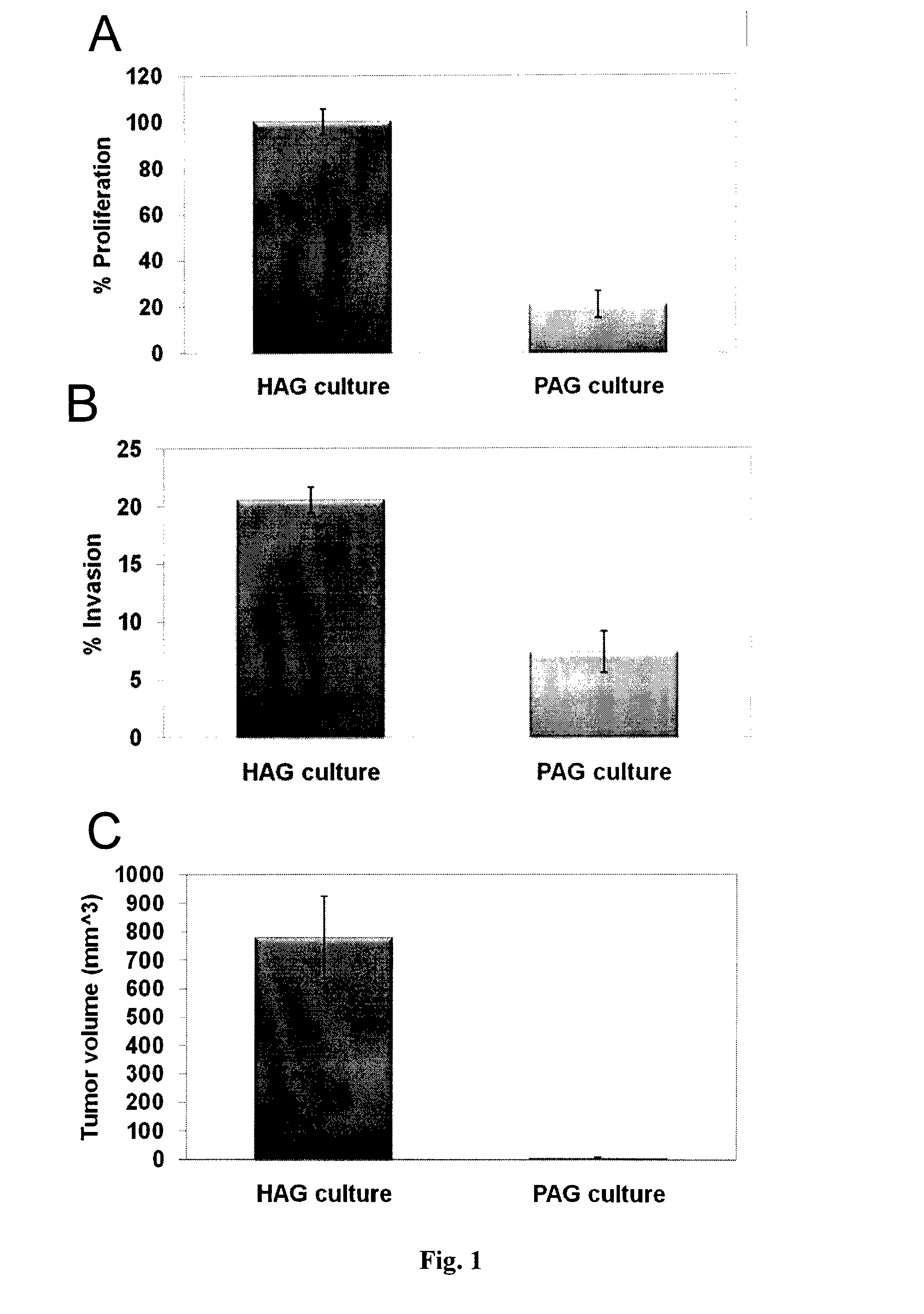 Microrna patterns for the diagnosis, prognosis and treatment of melanoma