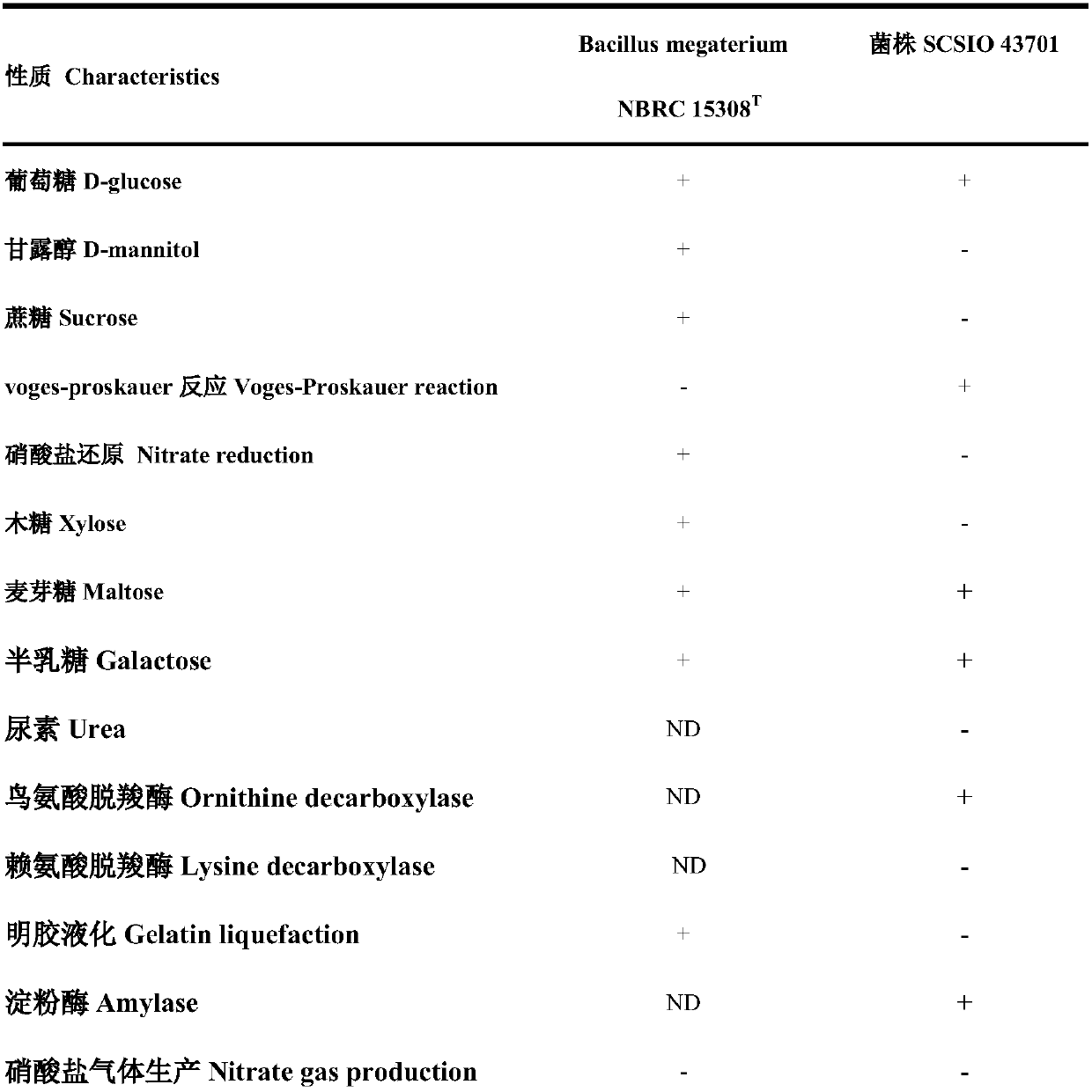 Ocean phosphorus-dissolving bacillus megaterium and application thereof