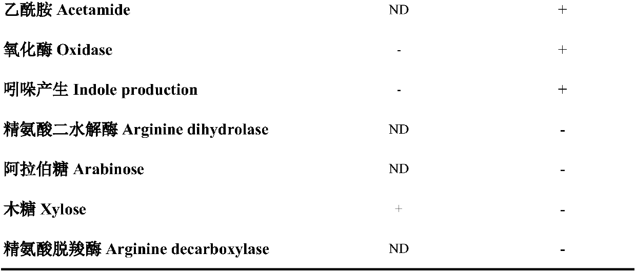 Ocean phosphorus-dissolving bacillus megaterium and application thereof