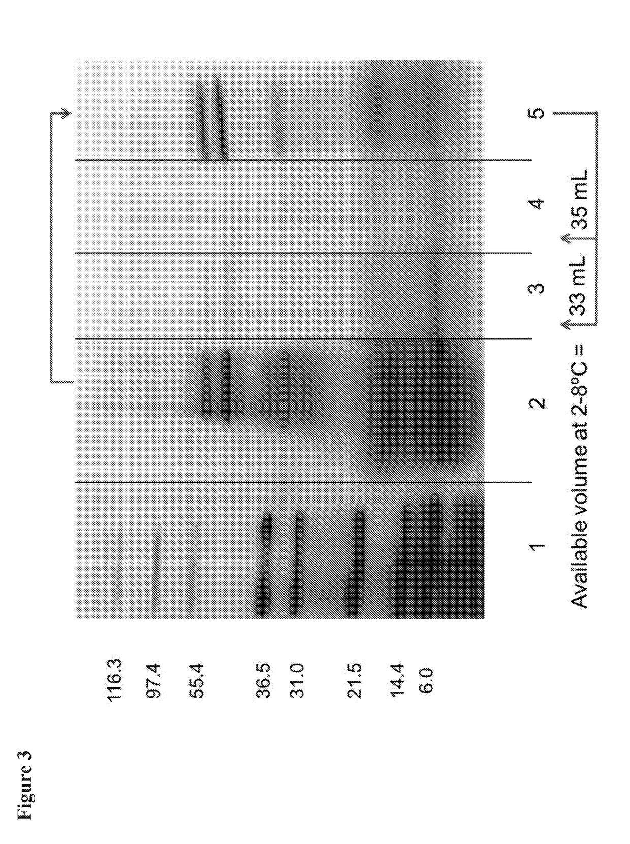 Inactivated vaccine for chikungunya virus