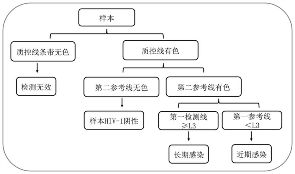 Test paper strip for rapidly distinguishing recent and long-term HIV infection states through serum HIV-1 antibody detection and preparation method thereof