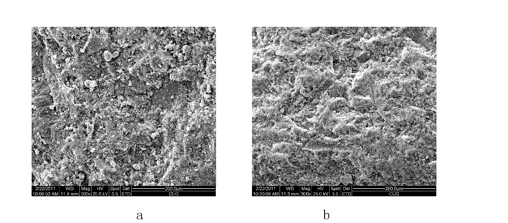 Preparation method of modified clinoptilolite ion exchanger