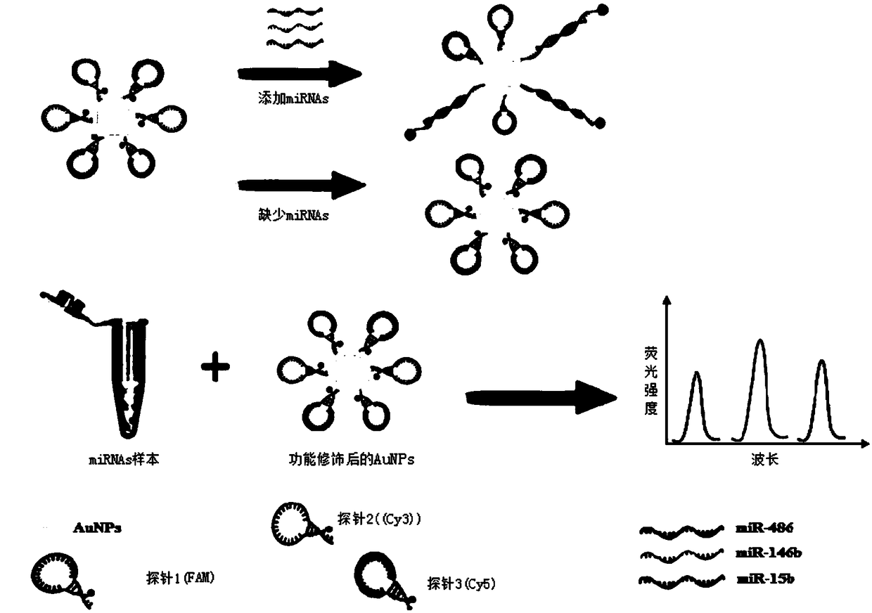 Method for simultaneously detecting miR-486, miR-146b and miR-15b by one-step method and application of method