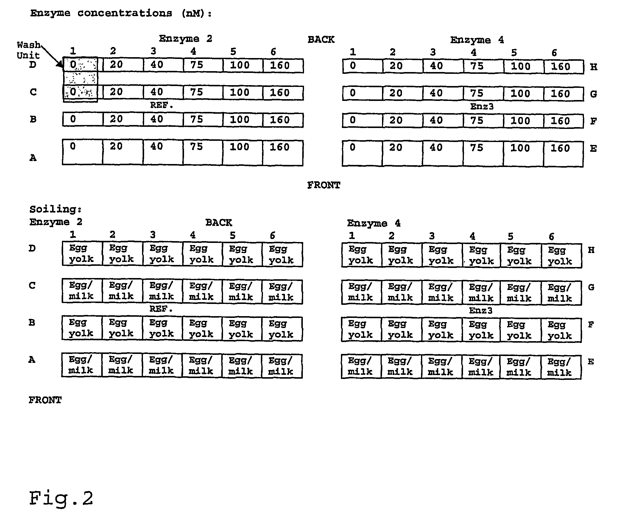 Variant subtilisin enzymes (subtilases)