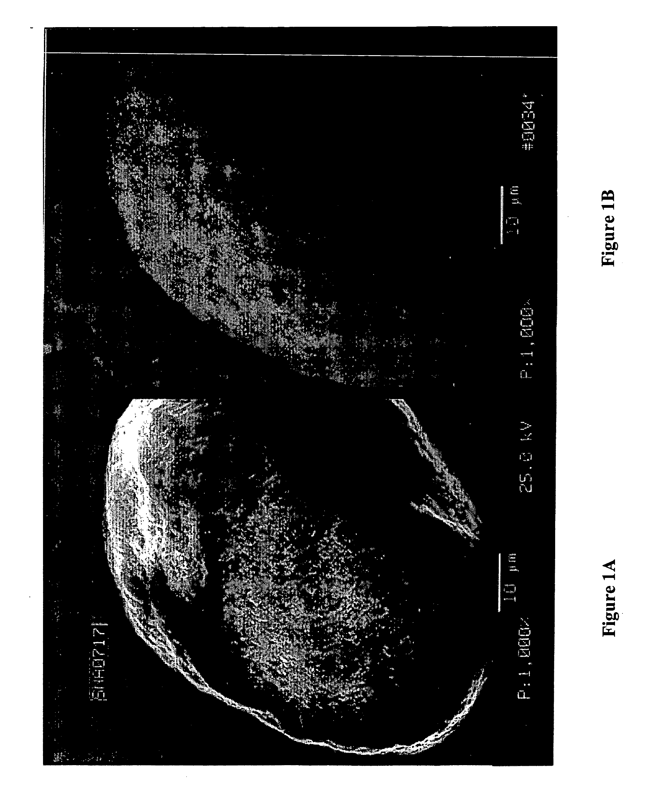 High surface area, small crystallite size catalyst for fischer-tropsch synthesis