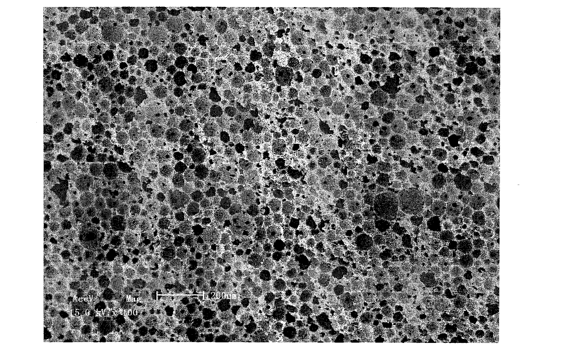 Method for preparing silicon nitride foam ceramic