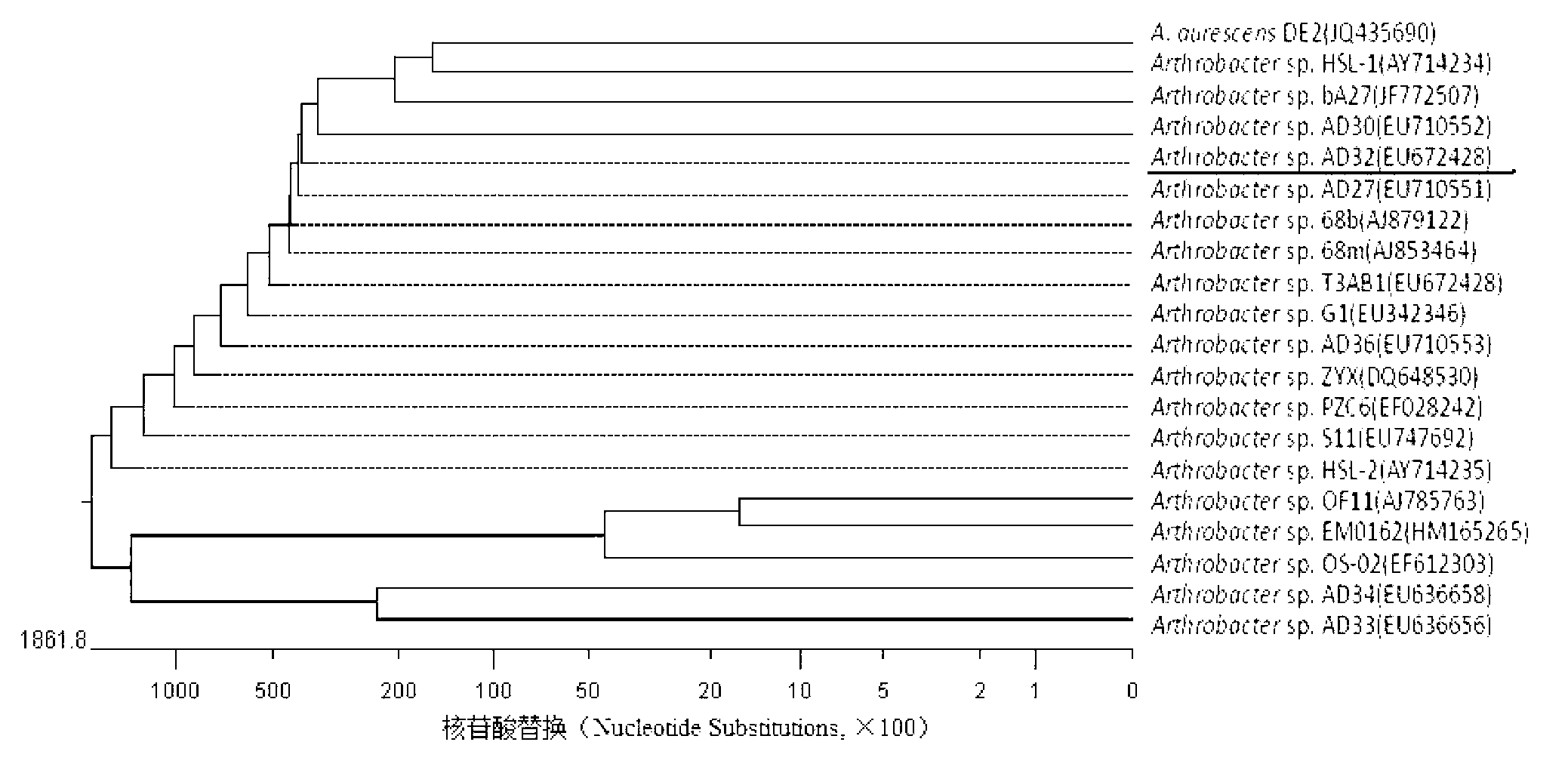 Method for recovering herbicide atrazine-polluted soil by using degradable bacteria