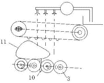 Mussel byssus removal machine