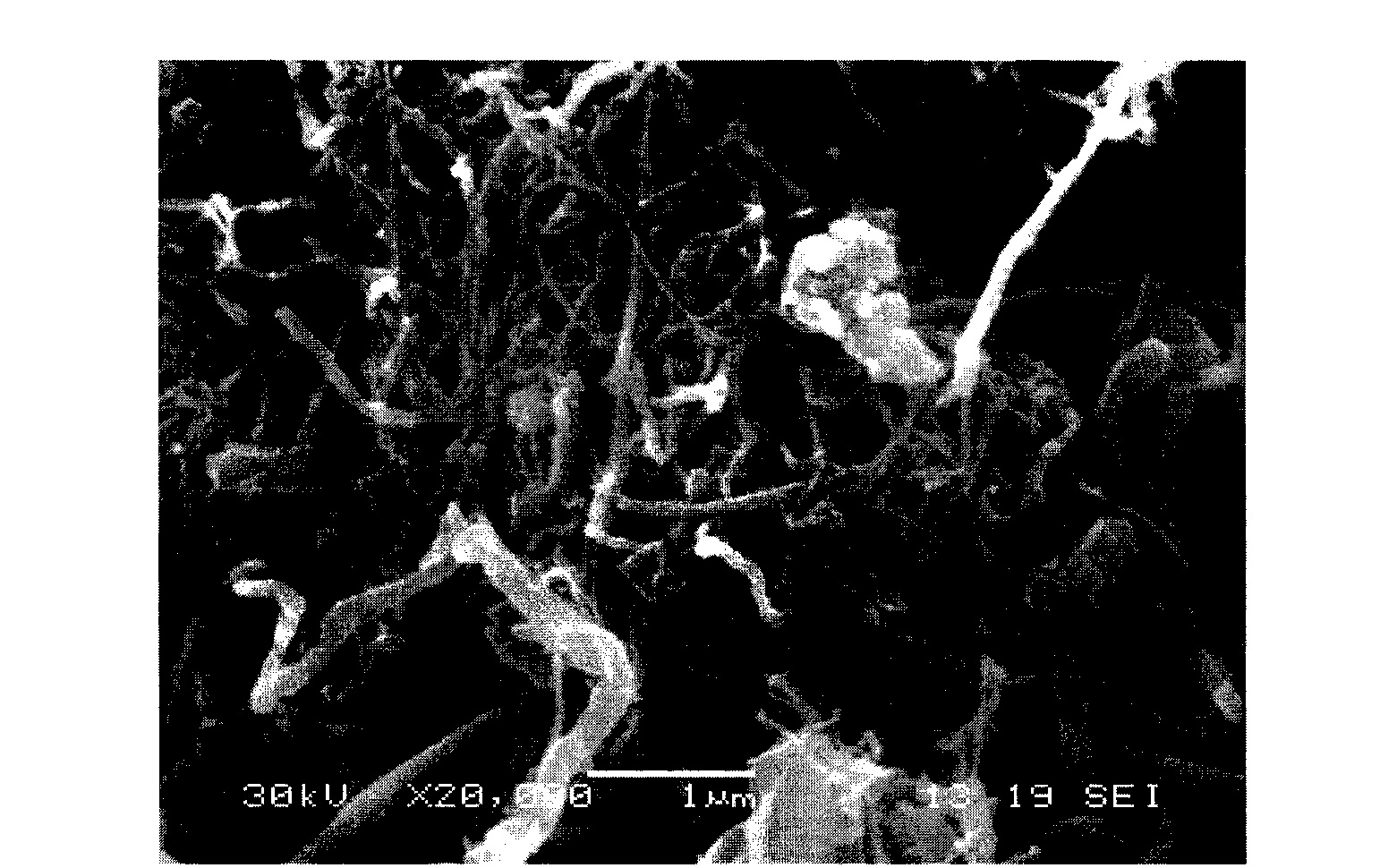 Method for preparing boron nitride nano-tube