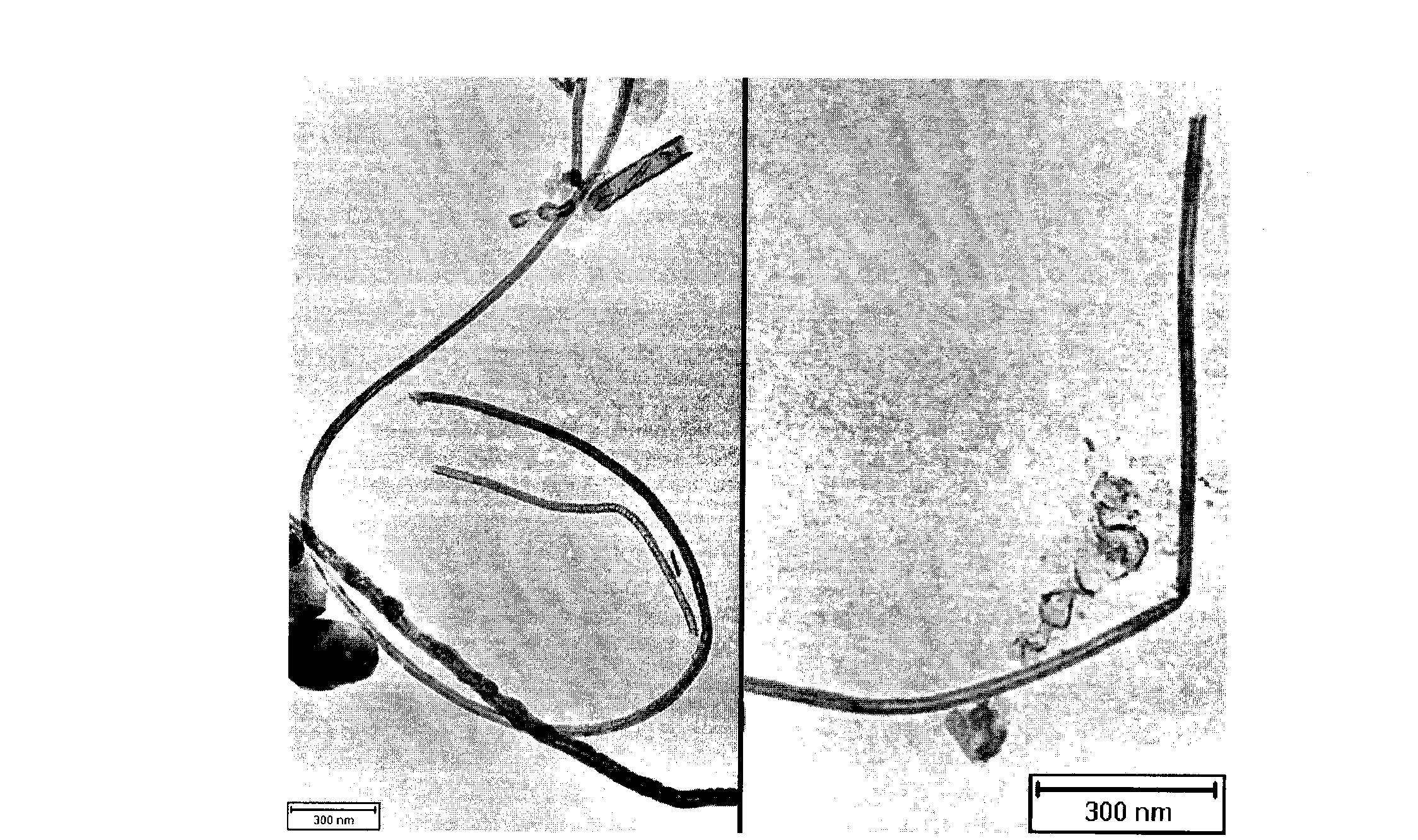 Method for preparing boron nitride nano-tube