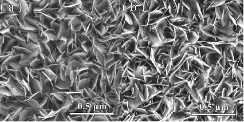 Copper bismuthate/ tungsten oxide composite film material, preparation method and application thereof in preparation of methane by photocatalytic carbon dioxide