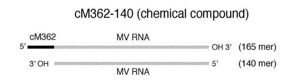 Adjuvant composition