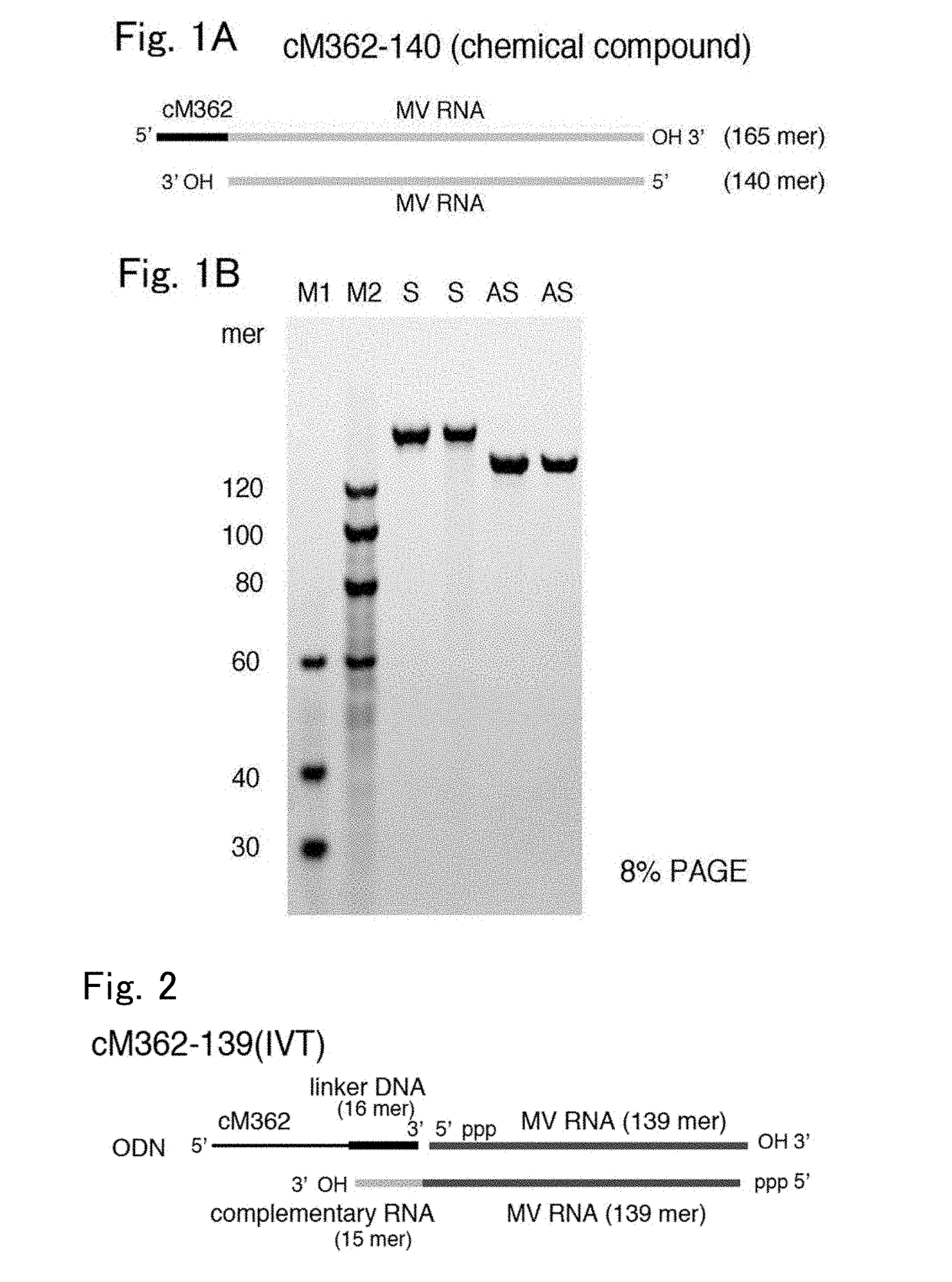 Adjuvant composition