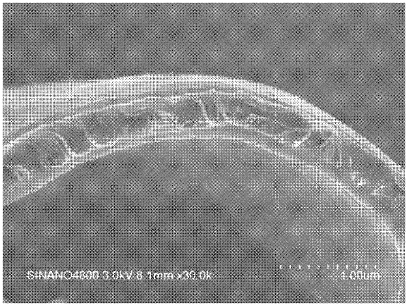 CNT (carbon nano tube)/macromolecule composite film and preparation method thereof