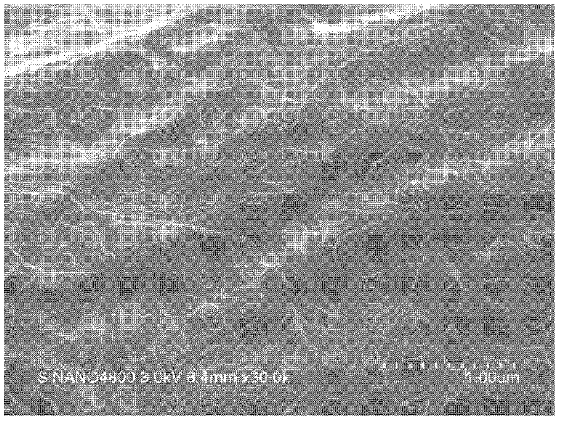 CNT (carbon nano tube)/macromolecule composite film and preparation method thereof