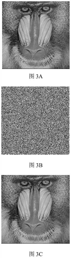 Image encryption method based on bit-level scrambling and network diffusion