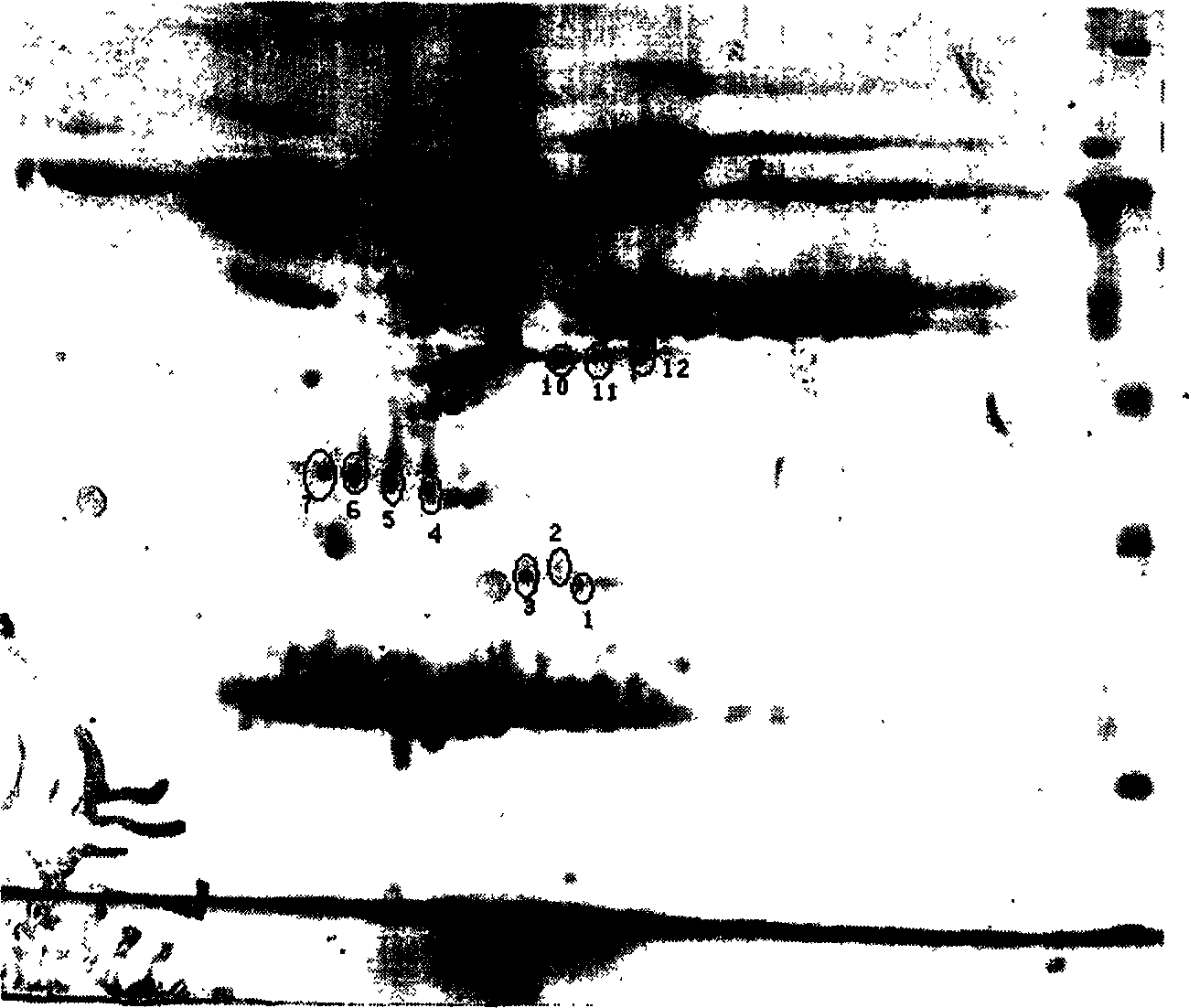 Quick dissolving solid injection of yew alkyl group, preparation method and application