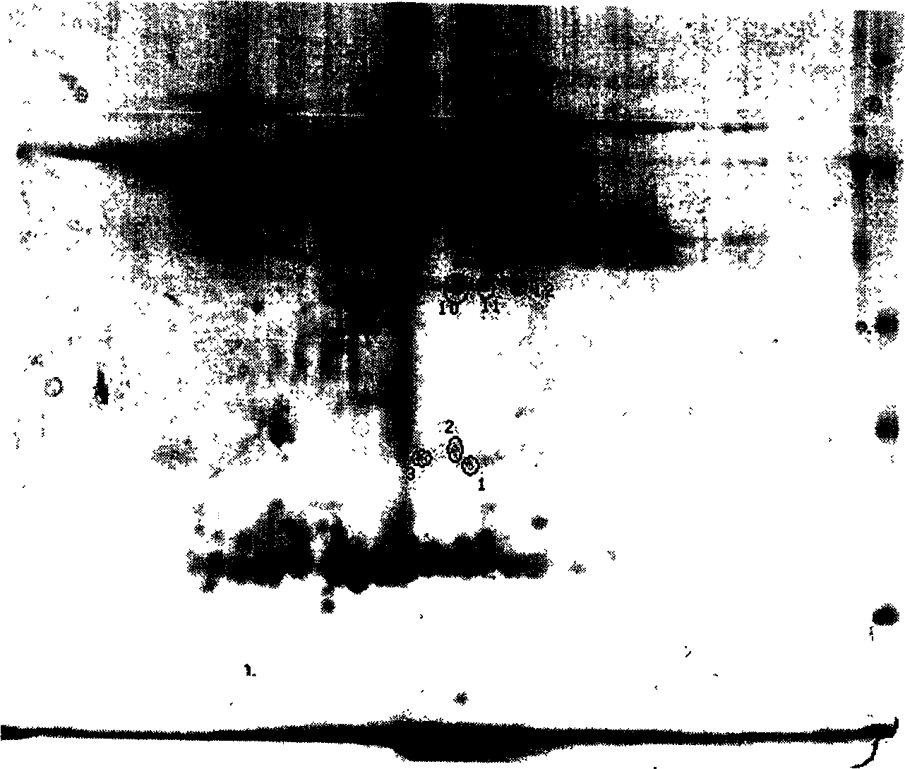 Quick dissolving solid injection of yew alkyl group, preparation method and application