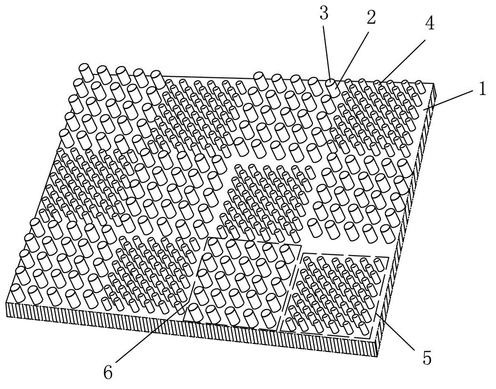 Anti-skidding foot pad