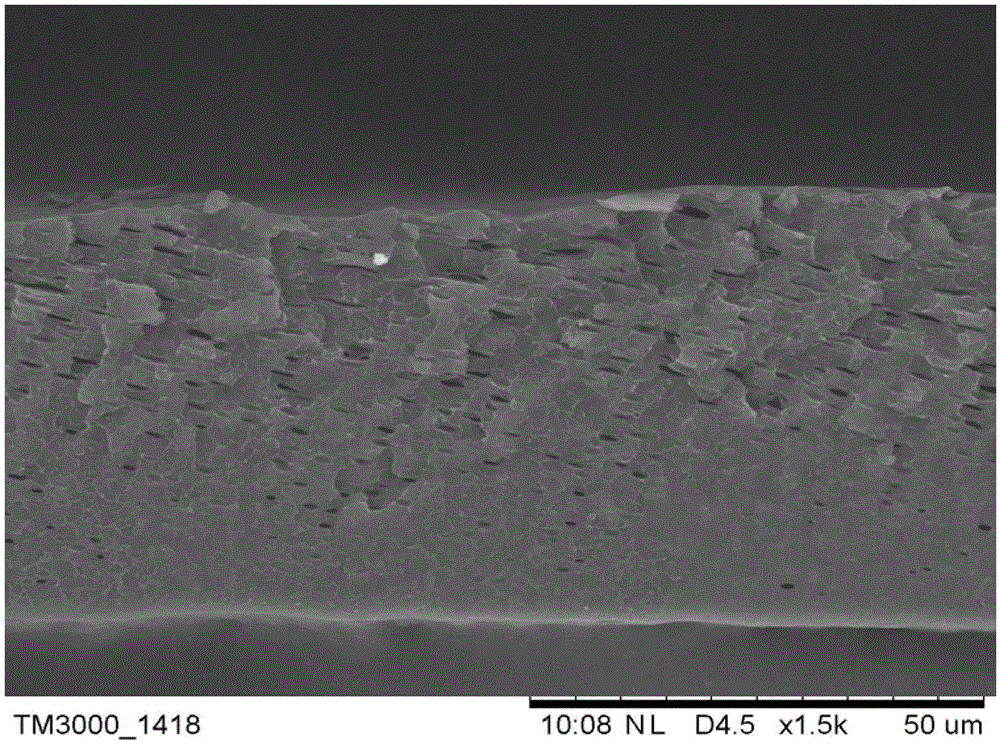 Preparation method of polymer micro-filtration membrane