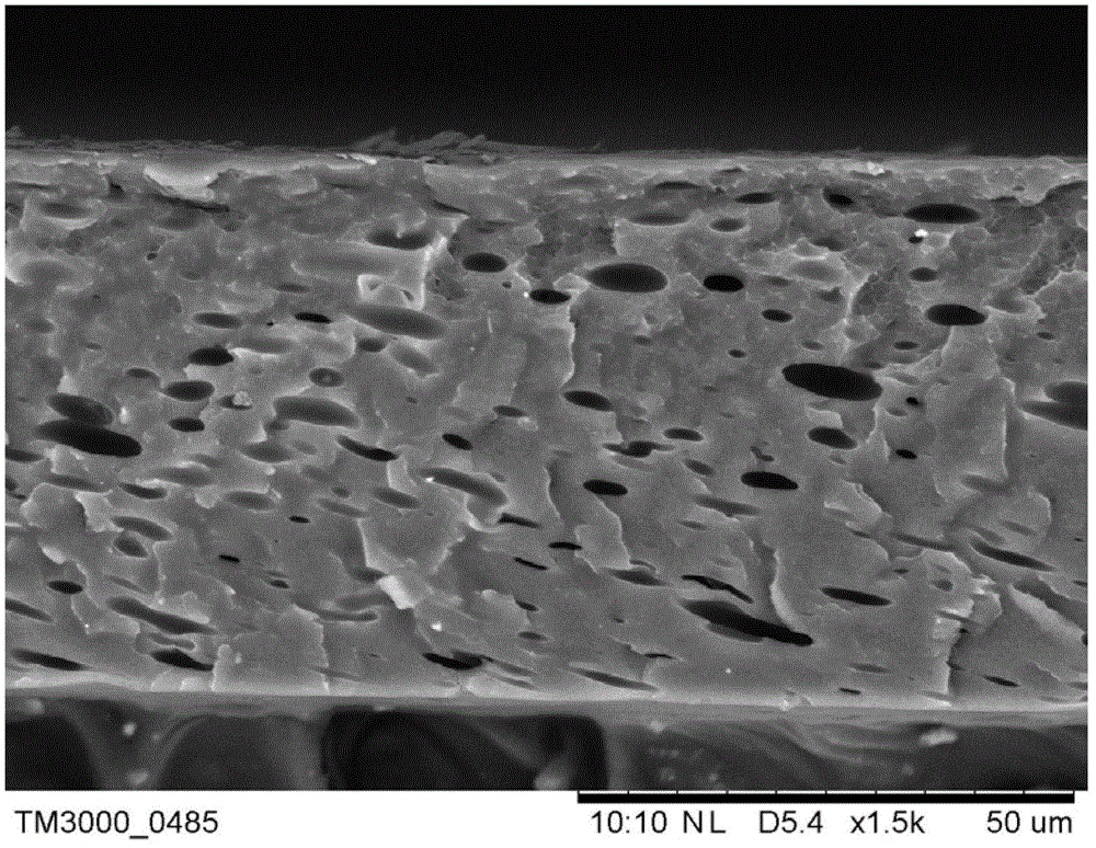 Preparation method of polymer micro-filtration membrane