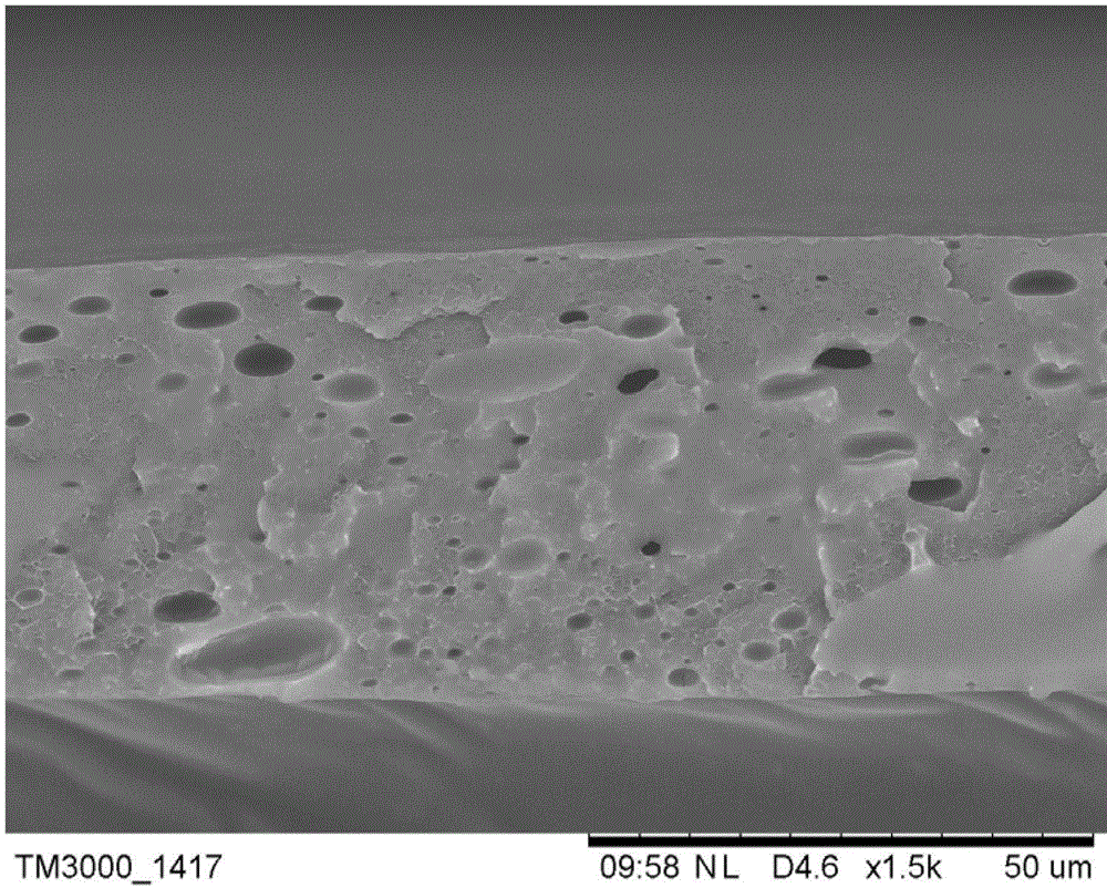 Preparation method of polymer micro-filtration membrane