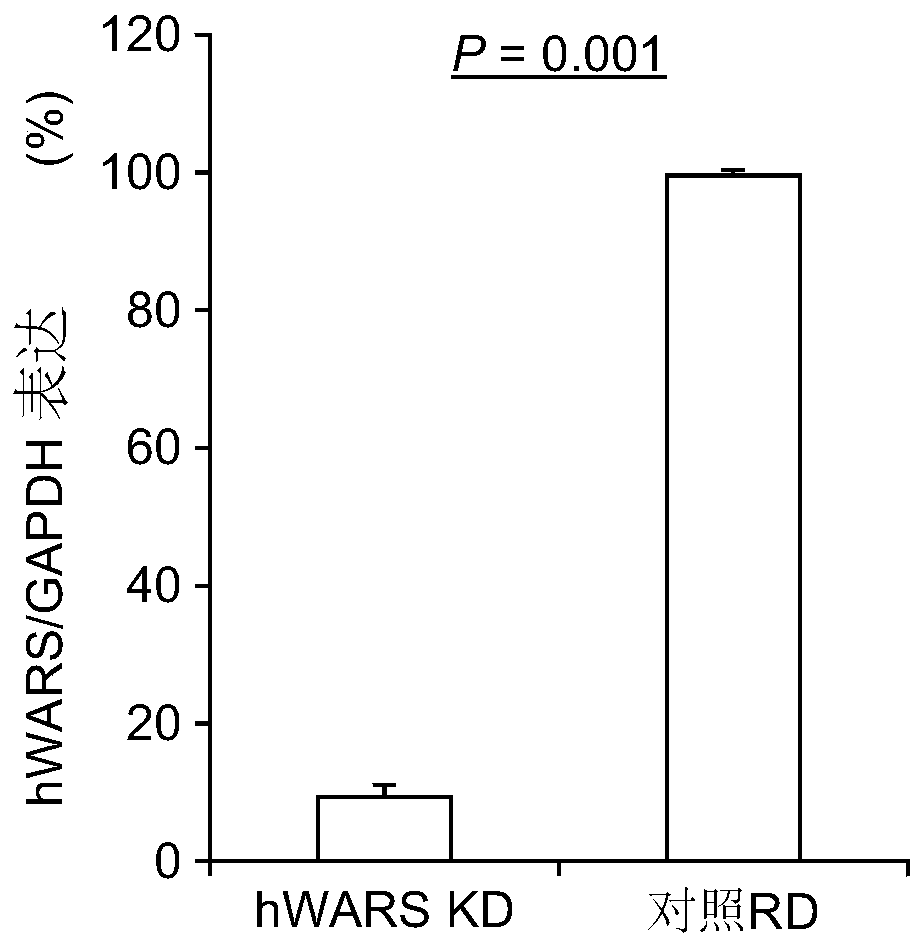 Compositions and methods for treatment of enterovirus infection