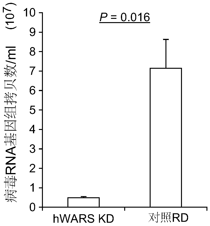 Compositions and methods for treatment of enterovirus infection