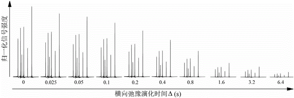 Nuclear magnetic resonance transverse relaxation measurement method without J-coupling-effect interference