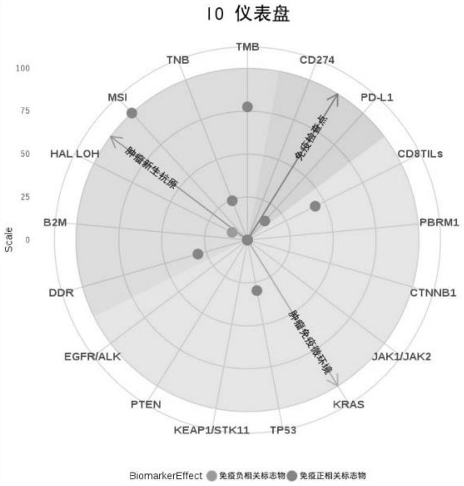 Tumor individualized immunotherapy gene detection result interpretation method and system and storage medium