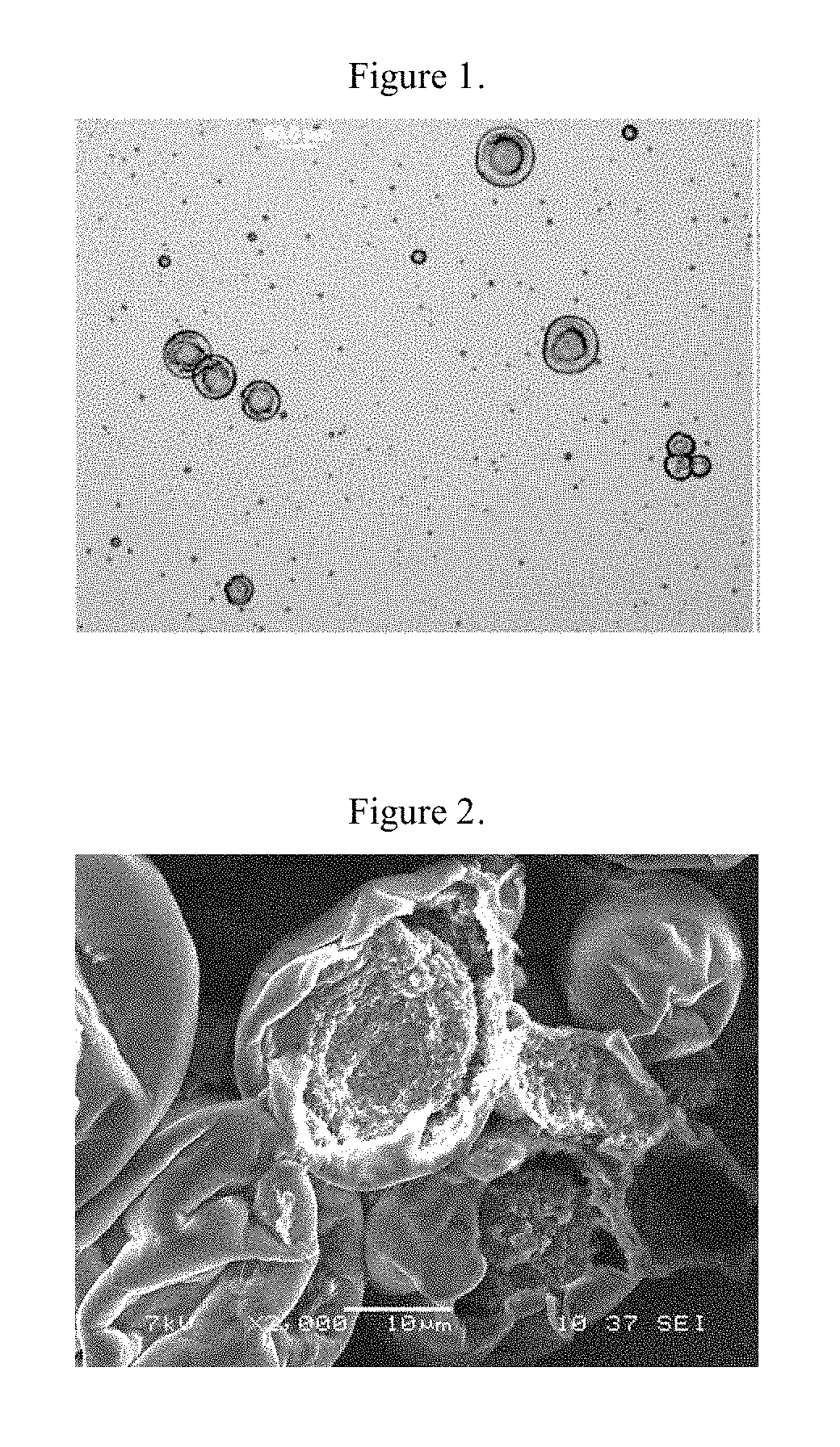 Capsules containing polyvinyl alcohol