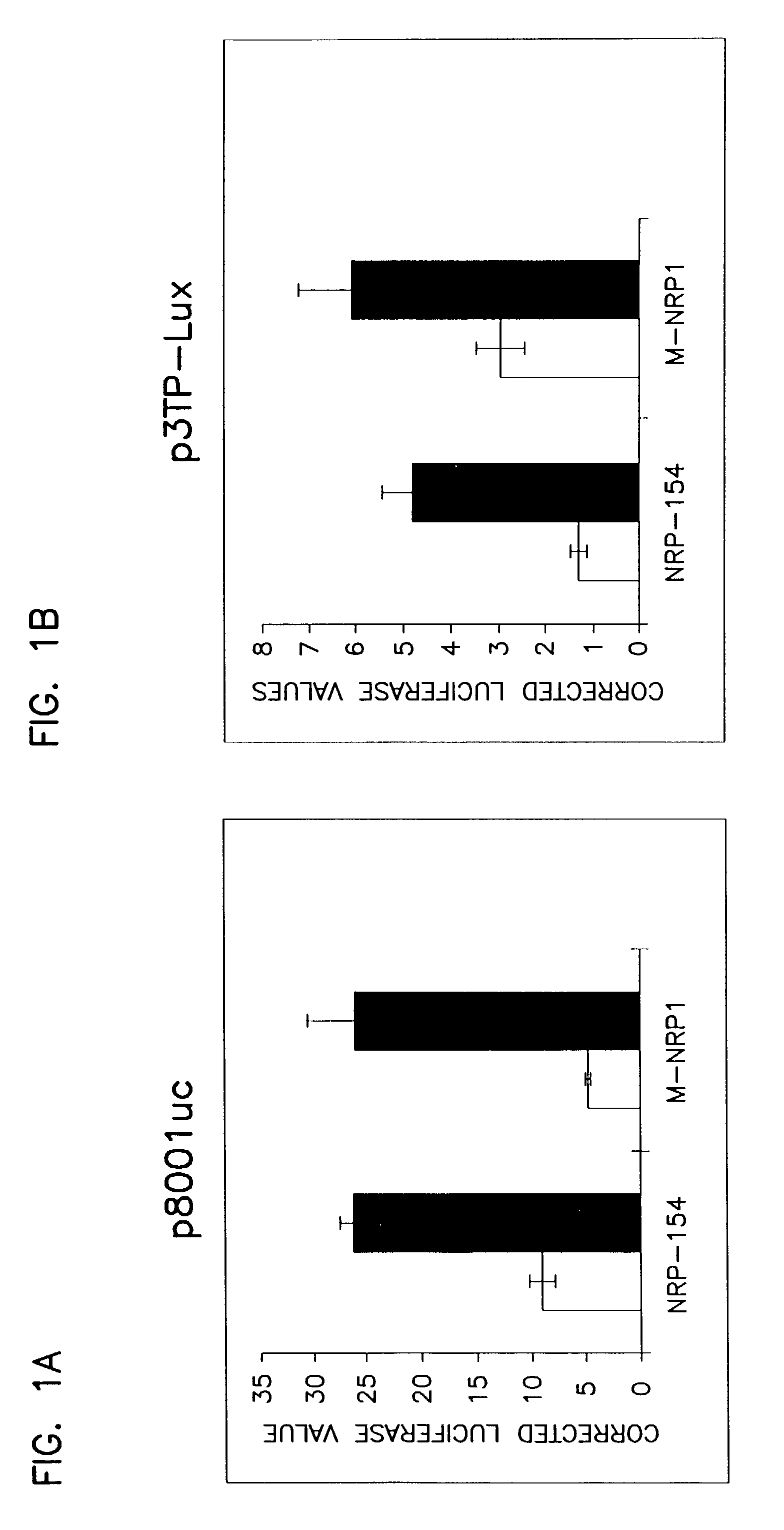 Novel human septin and uses therefor