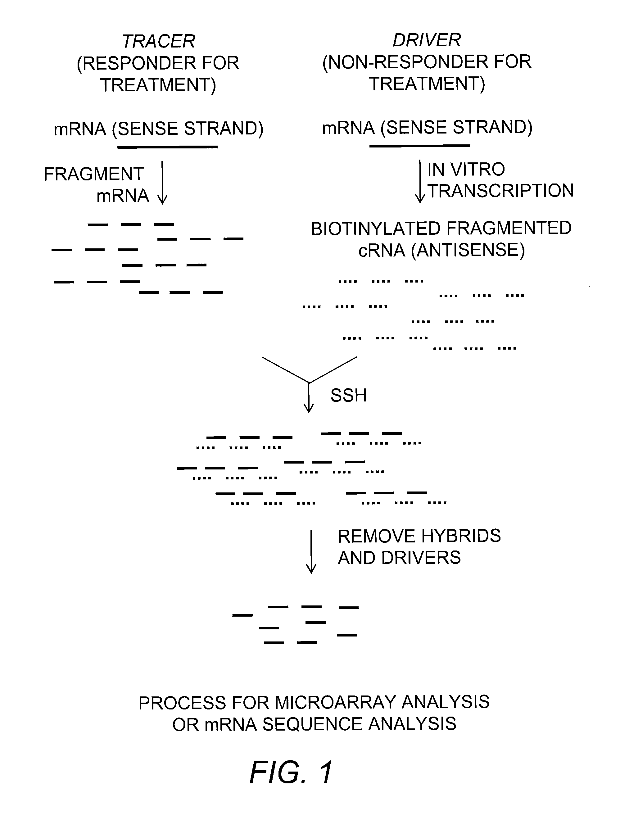 Method and kit for classifying a patient