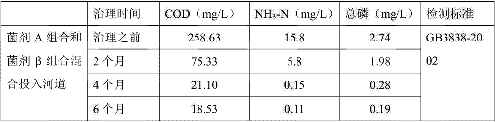 Compound microorganism combination microbial agent, preparation method and application thereof, sludge treatment method for black-odor river