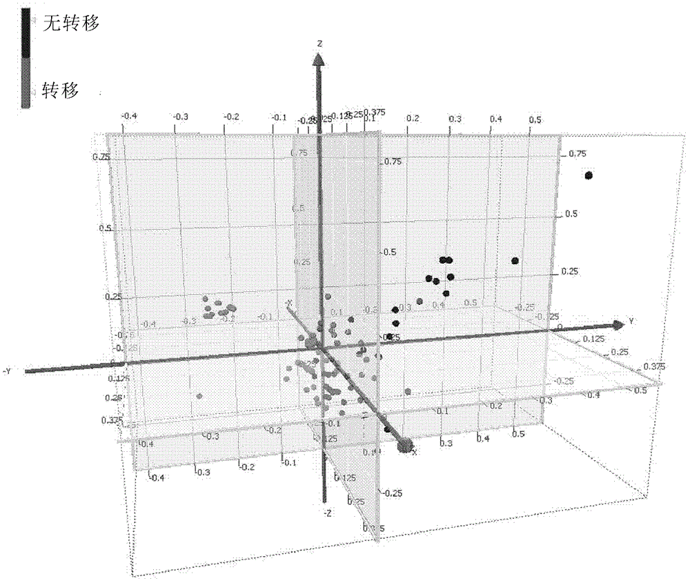 Gene marker of predicting primary hepatic carcinoma metastatic potential