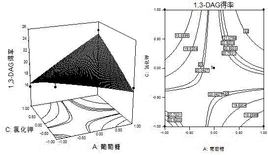 Fermentation production culture medium and culture method for aspergillus niger capable of selective synthesis of 1,3-diglyceride