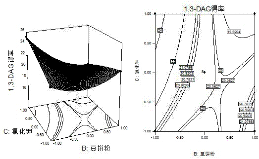 Fermentation production culture medium and culture method for aspergillus niger capable of selective synthesis of 1,3-diglyceride