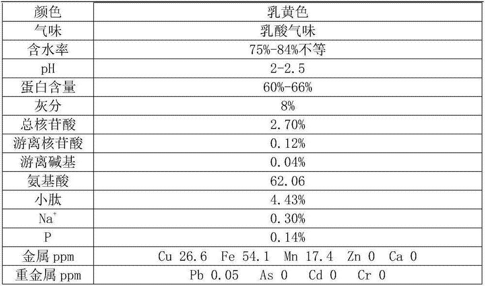 Preparation method of lactic acid bacterium protein raw material with high content of small peptide and application thereof