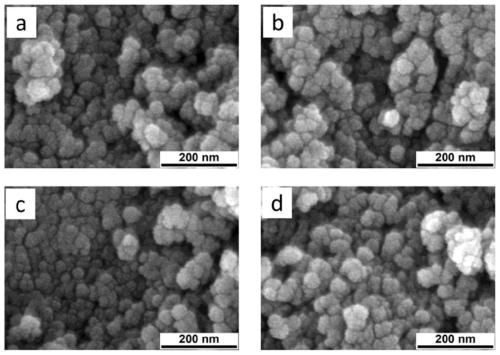 Solid oxide fuel cell catalyst