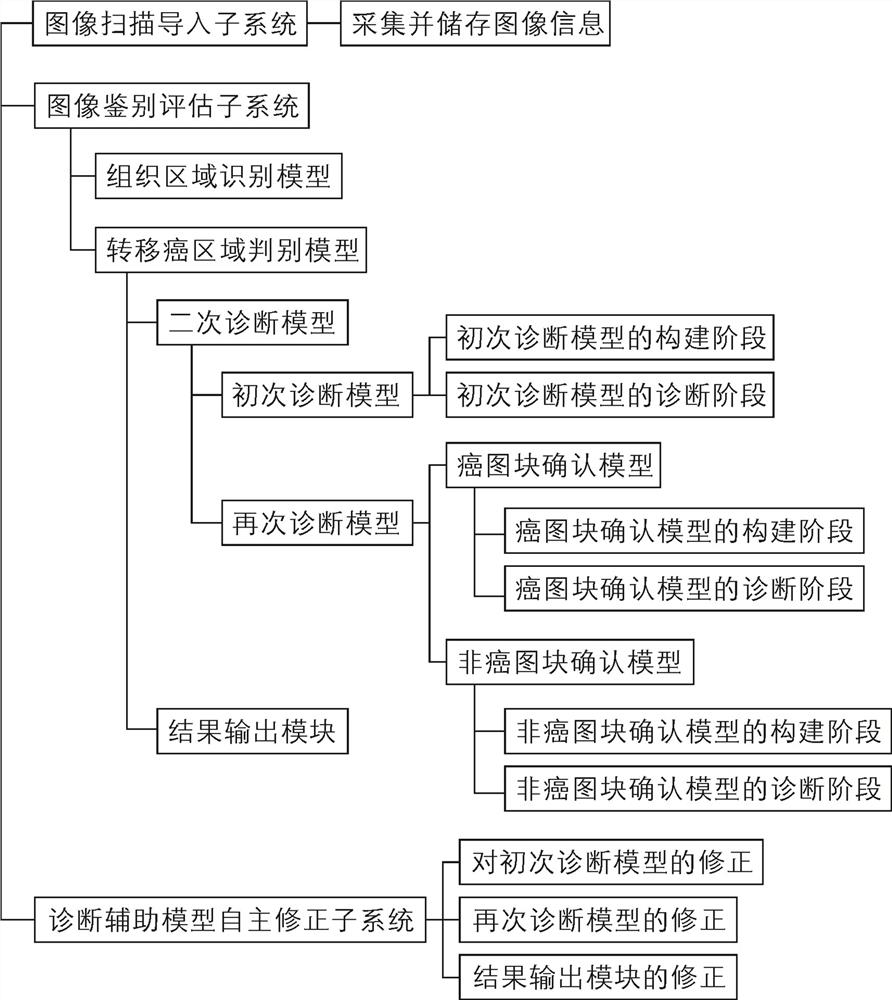 Deep learning-based head and neck squamous cell carcinoma lymph node metastatic carcinoma diagnosis auxiliary identification system