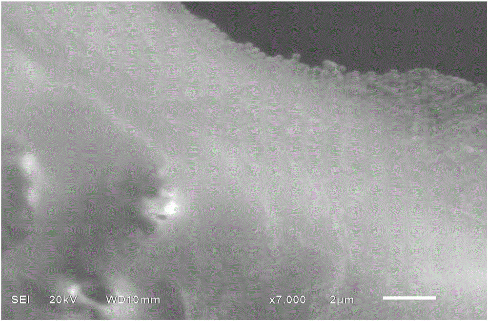 Three-dimensionally ordered macroporous-mesoporous graphene, preparation method and application thereof